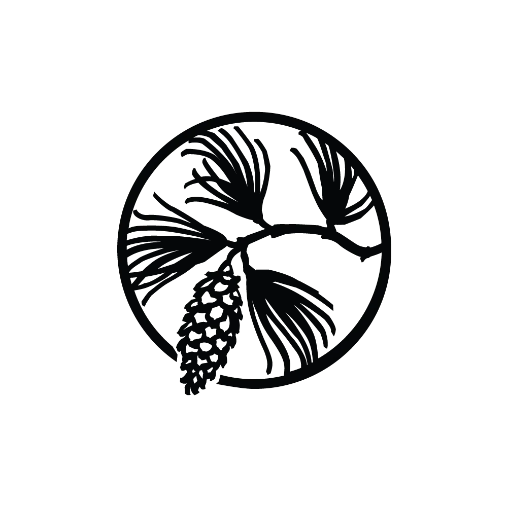 WCS Technology WebGuru Skill Development Institute in Bihar